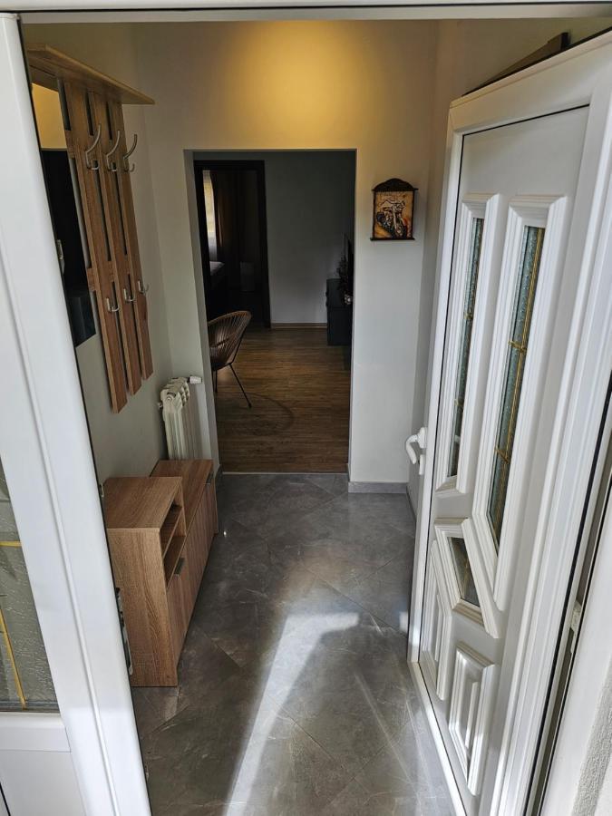 Aerovista Apartment Surcin Bagian luar foto